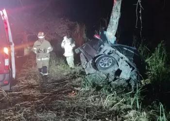 Paraty – Motorista morre após perder controle da direção e bater carro contra árvore na Rio-Santos