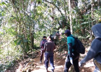 Resende – Abertas as inscrições para “Caminhadas da Natureza – Circuito Serrinha do Alambari”