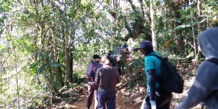 Resende – Abertas as inscrições para “Caminhadas da Natureza – Circuito Serrinha do Alambari”