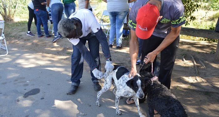 Resende vacina cães e gatos contra a raiva