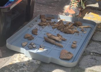 Ossada humana é encontrada em Angra dos Reis durante obra de manutenção em rede de água