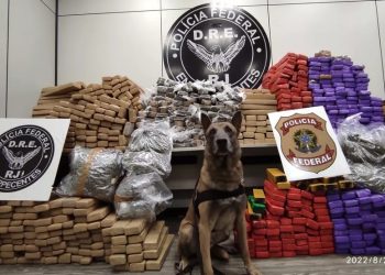 Polícia encontra 890 kg de maconha escondidos em carreta em Itatiaia