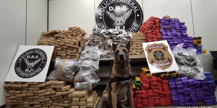 Polícia encontra 890 kg de maconha escondidos em carreta em Itatiaia