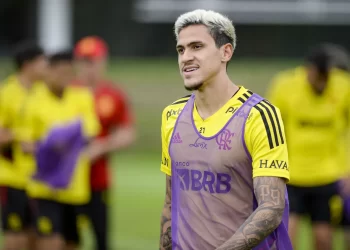 Presidente do Botafogo diz que Textor tentou tirar Pedro do Flamengo !