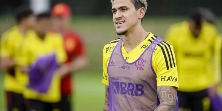 Presidente do Botafogo diz que Textor tentou tirar Pedro do Flamengo !