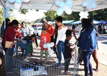RESENDE PROMOVE NOVA FEIRA DE ADOÇÃO PARA PETS