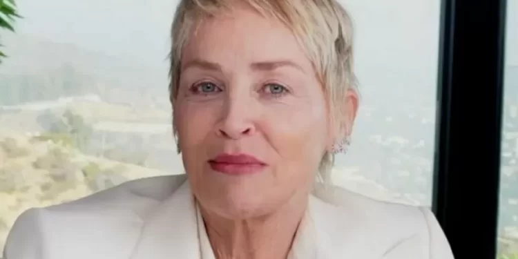 UMA CAUSA QUE CUSTOU A CARREIRA DE SHARON STONE