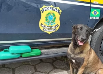 HOMEM É PRESO NA DUTRA COM COCAÍNA NO TRAVESSEIRO