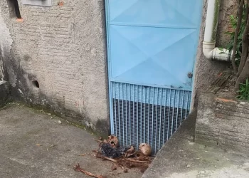 OSSADA HUMANA É ENCONTRADA EM PORTÃO DE CASA EM RESENDE