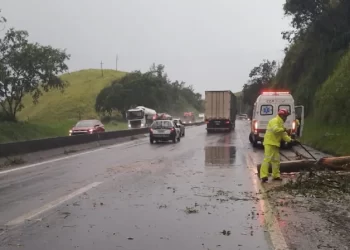 VIA DUTRA É FECHADA DEVIDO A QUEDA DE ÁRVORE