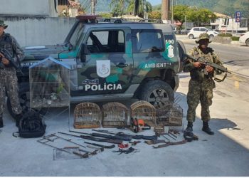 POLICIAIS AMBIENTAIS APREENDEM ARMAS DE CAÇA E PÁSSAROS SILVESTRES EM ANGRA