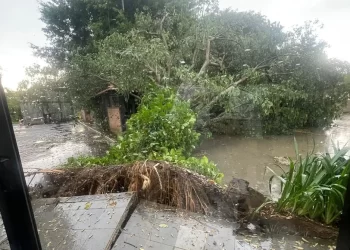 TEMPORAL PROVOCOU DESLIZAMENTOS DE TERRA EM BARRA MANSA E VOLTA REDONDA