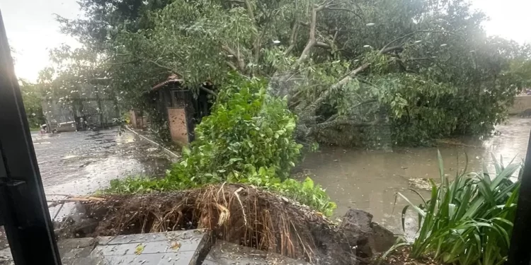 TEMPORAL PROVOCOU DESLIZAMENTOS DE TERRA EM BARRA MANSA E VOLTA REDONDA