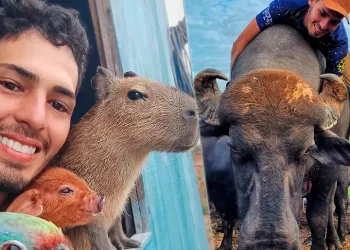APÓS RECEBER MULTA DO IBAMA INFLUENCIADOR QUE VIRALIZOU COM CAPIVARA TEM APOIO DE FAMOSOS  