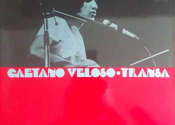 DIA NACIONAL DO VINIL