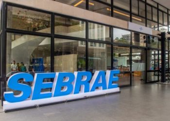 SEBRAE ABRE MAIS DE 100 VAGAS COM BOLSAS DE ATÉ R$ 6,5 MIL