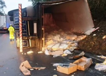 CAMINHÃO CARREGADO DE FRANGO TOMBA NA DESCIDA DA SERRA DAS ARARAS