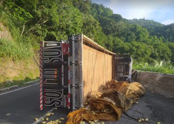 Piraí: Caminhão que transportava batatas tomba na Serra das Araras
